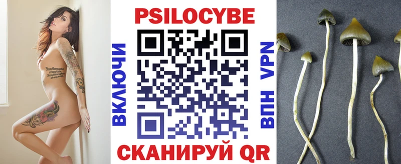 купить наркотики цена  Горно-Алтайск  Псилоцибиновые грибы Psilocybine cubensis 