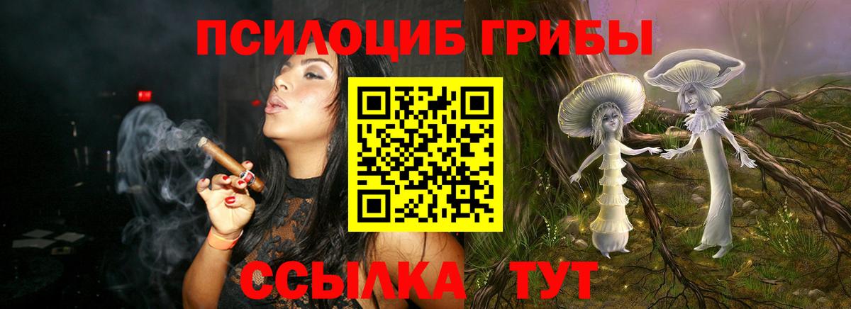 Псилоцибиновые грибы мицелий Горно-Алтайск
